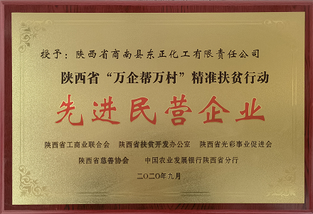 陕西省先进民营企业